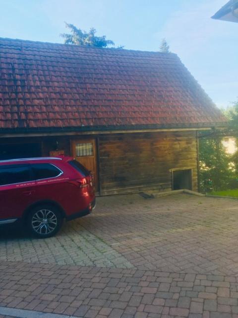 Kleines Haus Silberdistel Apartment Todtmoos Exterior photo